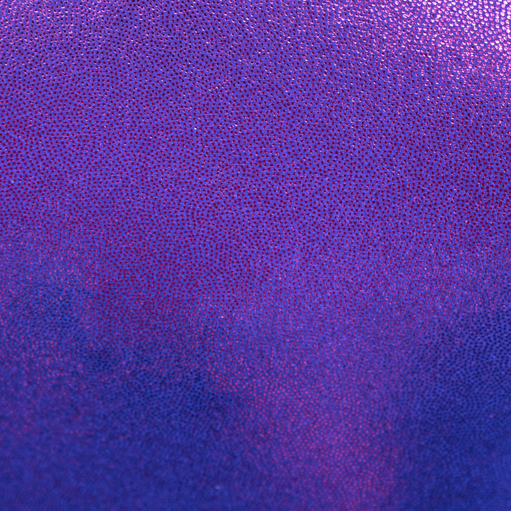 Victorious Violet | Lizatard